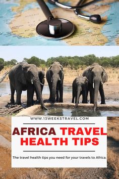 there is a map with elephants on it and the words africa travel health tips below