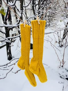 Yellow Christmas, Winter Gold, Farm House Colors, I Love Winter, Winter Wonder, Brown Aesthetic, Baby Cold, Mellow Yellow