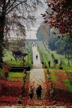 two people walking down a path in the middle of a park