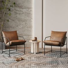 two chairs sitting next to each other on top of a carpeted floor in front of a wall