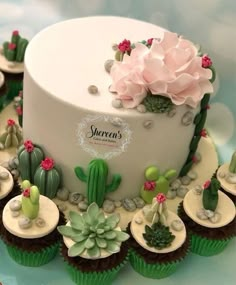 there is a cake decorated with cactus and succulents on the top, along with other cupcakes