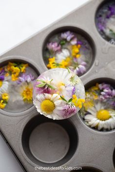 a muffin tin filled with lots of flowers