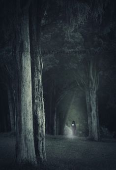 a person walking down a dark path in the woods