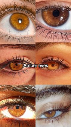 Different Brown Eyes Colors, Cognac Eyes Color, Types Of Brown Eyes, Cognac Eyes, Brown Eye Color, Light Brown Eyes