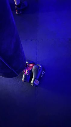 a pair of boxing gloves laying on the ground