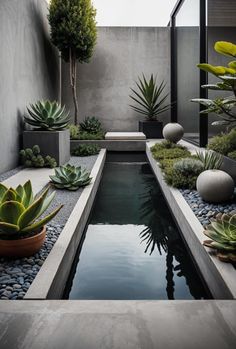 a small pond surrounded by plants and rocks in a courtyard area with concrete walls, graveled walkways and stone planters on either side