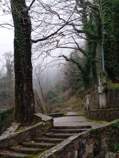 an old stone stairway in the woods on a foggy day