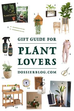 Check out this year's ultimate Gift Guide for Plant Loversfor the planty person in your life (or to get some inspo for your own wish list)