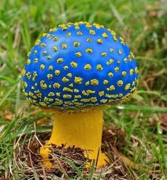 a blue and yellow mushroom sitting in the grass