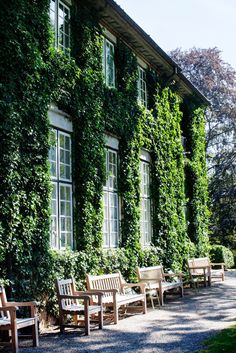 a row of wooden benches sitting in front of a building covered in green ivys