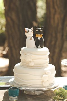 two cats sitting on top of a wedding cake