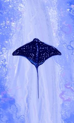 a painting of a manta ray swimming in the ocean with blue and white colors