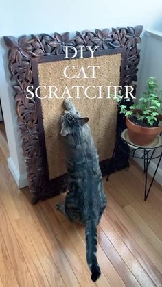 a cat standing on its hind legs in front of a scratching board with the caption diy cat scratcher