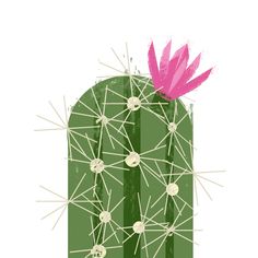 a green cactus with pink flower on it's tip and some white dots in the middle