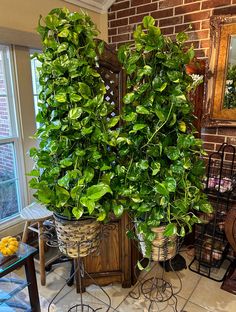 two large potted plants sitting on top of a table next to each other in front of a window