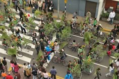 a crowd of people walking across a street next to tall buildings and green plants on the sidewalk