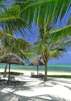 chairs and umbrellas on the beach under palm trees