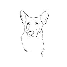 a black and white drawing of a dog's face with one eye open, looking at the camera