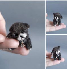 a tiny black and white dog is being held by someone's hand in four different pictures