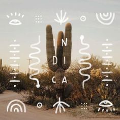 a cactus in the middle of a desert with white letters and symbols on it's side