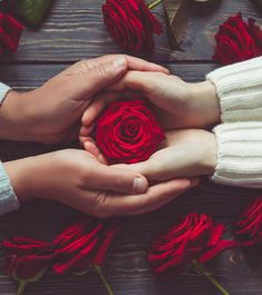 two people holding hands over roses on a wooden table with their hands in the shape of a heart