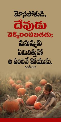 a little boy sitting on the ground surrounded by pumpkins with words written in red