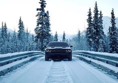 a black car driving down a snow covered road in the middle of some pine trees