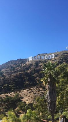 the hollywood sign is on top of a hill