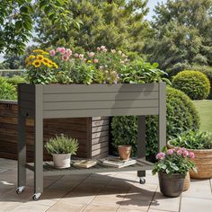 an outdoor garden with potted plants and flowers