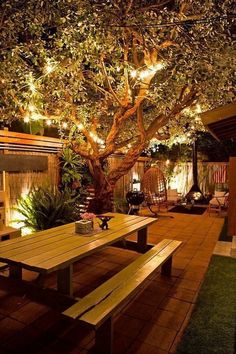 an outdoor patio with lights on the tree and benches under it, surrounded by greenery