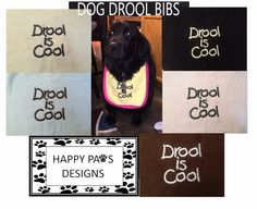 a collage of photos with dogs and their names on them, including drool bibs