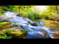 a small waterfall in the middle of a forest with sun shining down on it's side