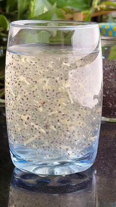 a glass filled with water sitting on top of a table next to potted plants