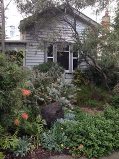 the house is surrounded by trees and plants on both sides of the yard, along with other shrubs