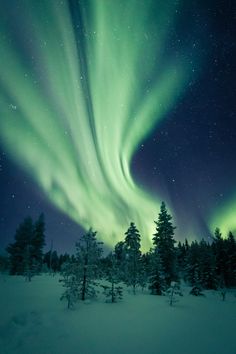 an aurora bore is seen in the night sky over trees and snow covered ground with bright green lights