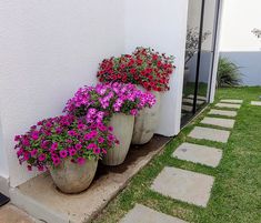 three large planters with purple flowers are on the side of a white wall and grass