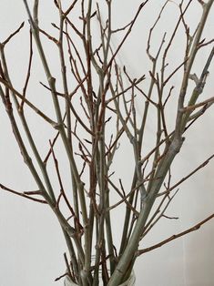 a vase filled with branches on top of a table