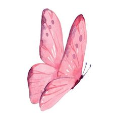 a pink butterfly flying in the air