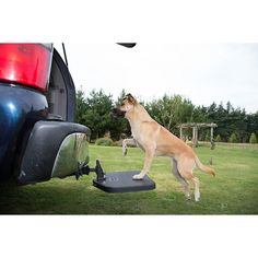 HEININGER PortablePET SUV Twistep Dog Hitch Step - Chewy.com