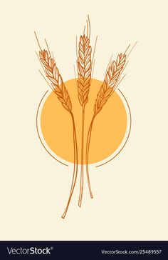 two ears of wheat on an orange background