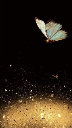 a blue and white butterfly flying in the air over dirt with gold flecks