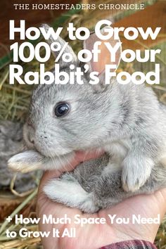 a person holding a rabbit in their hand with the words how to grow 100 % of your rabbit's food