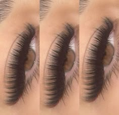 Eye Lash Style, Volume Russe, False Eyelash Remover, Best Lash Extensions, Lash Extensions Styles