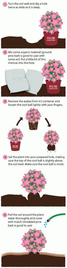 the instructions for how to make a flower pot