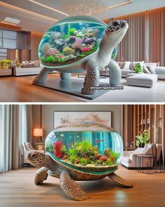 an aquarium is in the shape of a turtle, and it's sitting on top of