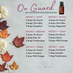 On Guard Doterra Uses, Doterra Onguard, Onguard Doterra, Terra Essential Oils, Doterra Oils Recipes, Doterra Diffuser