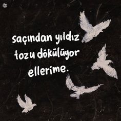 some white birds flying in the sky with words written on it that read, sagandan yildz tozu deklijur elerne