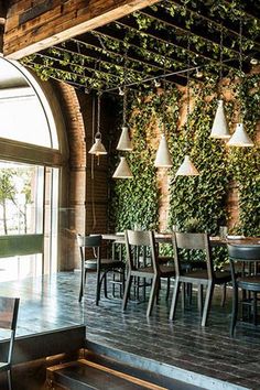 an outdoor dining area with tables, chairs and hanging plants on the wall behind them