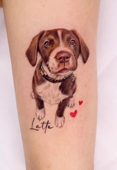 a dog with a heart tattoo on its leg