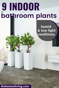 there is a bathroom with plants in the bathtub and on the floor next to it